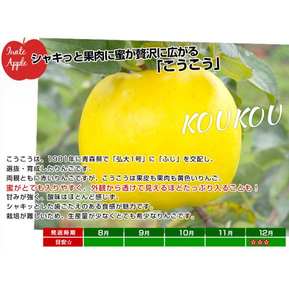岩手県から産地直送 JAいわて中央 樹上完熟りんご「こうこう」等級：特以上 約2.5キロ（7玉から10玉）送料無料 りんご 林檎 リンゴ05