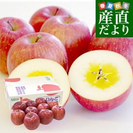 岩手県から産地直送 JAいわて中央 樹上完熟りんご「じゅくりん」等級：〇秀以上 約2.5キロ（8玉から10玉）送料無料 りんご 林檎 リンゴ