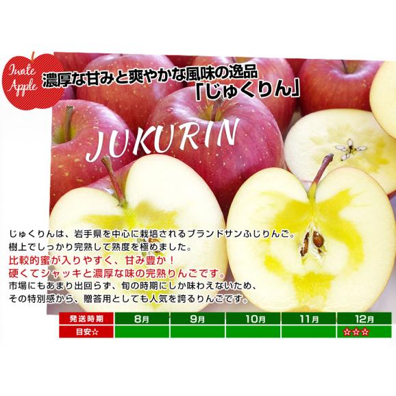 【お歳暮 ギフト】岩手県から産地直送 JAいわて中央 樹上完熟りんご「じゅくりん」等級：〇秀以上 約2.5キロ（8玉から10玉）送料無料 りんご 林檎 リンゴ05