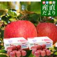 岩手県から産地直送 JAいわて中央 樹上完熟りんご「サンふじ」等級：特以上 約2.5キロ×2箱（7玉から11玉×2箱）送料無料 りんご 林檎 リンゴ さんふじ