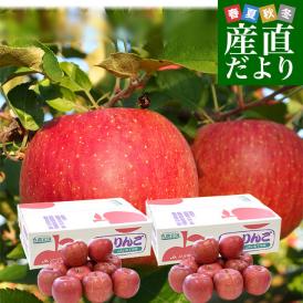 岩手県から産地直送 JAいわて中央 樹上完熟りんご「サンふじ」等級：特以上 約2.5キロ×2箱（7玉から11玉×2箱）送料無料 りんご 林檎 リンゴ さんふじ