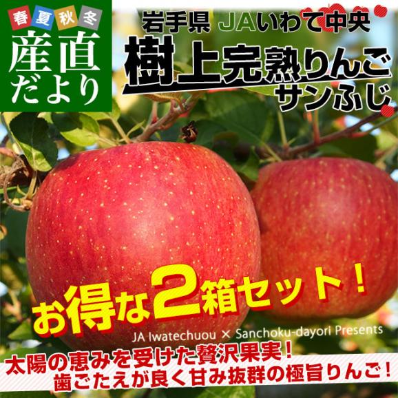 岩手県から産地直送 JAいわて中央 樹上完熟りんご「サンふじ」等級：特以上 約2.5キロ×2箱（7玉から11玉×2箱）送料無料 りんご 林檎 リンゴ さんふじ02