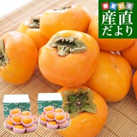 奈良県 JAならけん たねなし柿（刀根柿・平種無柿）優品以上 LからMサイズ 約2キロ×2箱(合計20玉から24玉入り) 送料無料 柿 かき