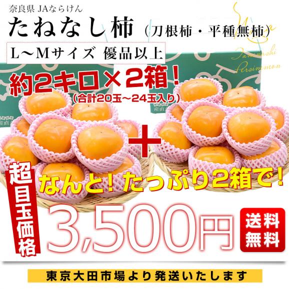 奈良県 JAならけん たねなし柿（刀根柿・平種無柿）優品以上 LからMサイズ 約2キロ×2箱(合計20玉から24玉入り) 送料無料 柿 かき03