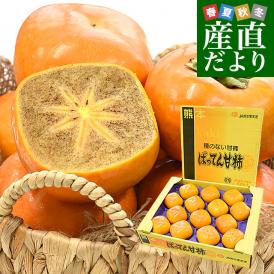 熊本県から産地直送 JAかみましき ばってん甘柿 ご家庭用 3Lから4Lサイズ 約3キロ（12玉から14玉）送料無料 柿 かき 種なし柿 種無し柿