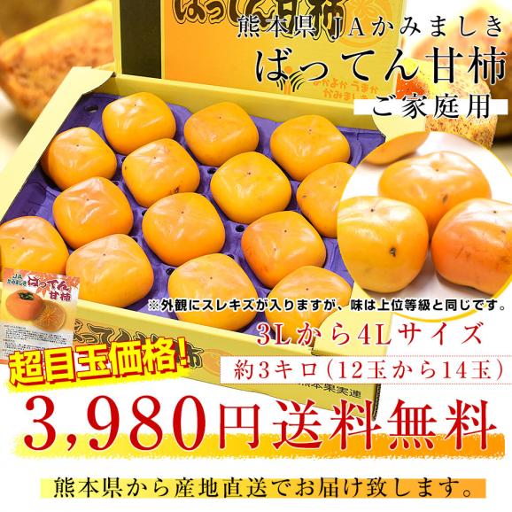 熊本県から産地直送 JAかみましき ばってん甘柿 ご家庭用 3Lから4Lサイズ 約3キロ（12玉から14玉）送料無料 柿 かき 種なし柿 種無し柿03