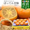 熊本県から産地直送 JAかみましき ばってん甘柿 青秀以上 大玉5Lから6Lサイズ 約3キロ（9玉から10玉）送料無料 柿 かき 種なし柿 種無し柿