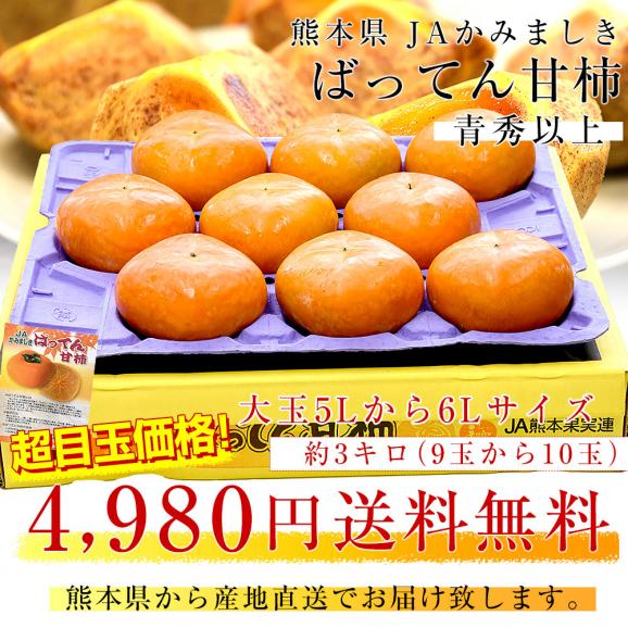 熊本県から産地直送 JAかみましき ばってん甘柿 青秀以上 大玉5Lから6Lサイズ 約3キロ（9玉から10玉）送料無料 柿 かき 種なし柿 種無し柿03