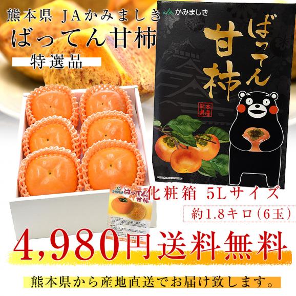 熊本県から産地直送 JAかみましき ばってん甘柿 特選品 化粧箱 5Lサイズ 約1.8キロ（6玉）送料無料 柿 かき 種なし柿 種無し柿 ギフト03