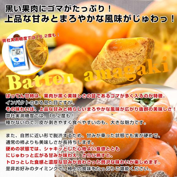 熊本県から産地直送 JAかみましき ばってん甘柿 特選品 化粧箱 5Lサイズ 約1.8キロ（6玉）送料無料 柿 かき 種なし柿 種無し柿 ギフト05