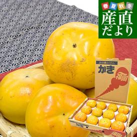 福岡県産 JAにじ 太秋柿 ご家庭用 Lから2Lサイズ 約3.5キロ（12玉から14玉）送料無料 柿 かき たいしゅうがき