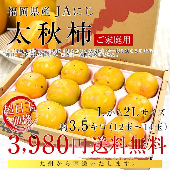 福岡県産 JAにじ 太秋柿 ご家庭用 Lから2Lサイズ 約3.5キロ（12玉から14玉）送料無料 柿 かき たいしゅうがき03