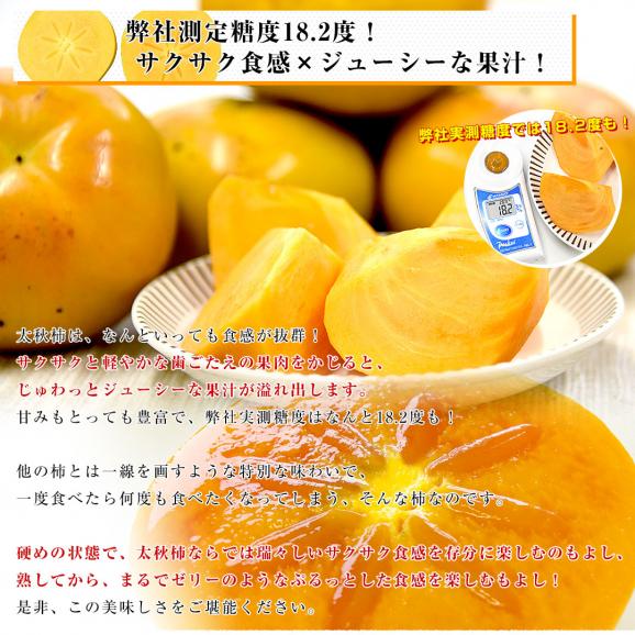 福岡県産 JAにじ 太秋柿 ご家庭用 Lから2Lサイズ 約3.5キロ（12玉から14玉）送料無料 柿 かき たいしゅうがき05
