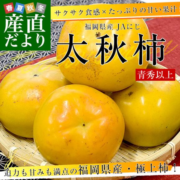 福岡県産 JAにじ 太秋柿 青秀以上 大玉2Lから3Lサイズ 約3.5キロ（10玉から12玉）送料無料 柿 かき たいしゅうがき02
