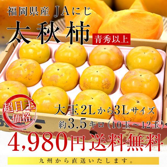 福岡県産 JAにじ 太秋柿 青秀以上 大玉2Lから3Lサイズ 約3.5キロ（10玉から12玉）送料無料 柿 かき たいしゅうがき03