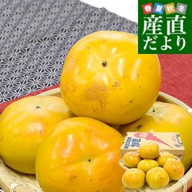 福岡県産 JAにじ 太秋柿 青秀以上 超大玉4Lから5Lサイズ 約3.5キロ（8玉から9玉）送料無料 柿 かき たいしゅうがき