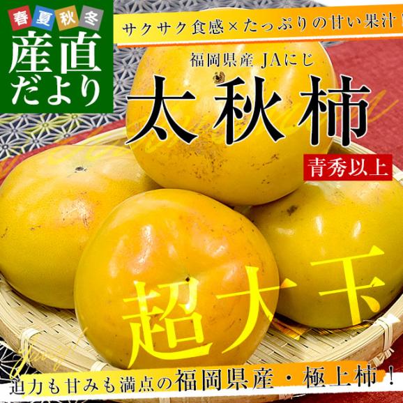 福岡県産 JAにじ 太秋柿 青秀以上 超大玉4Lから5Lサイズ 約3.5キロ（8玉から9玉）送料無料 柿 かき たいしゅうがき02
