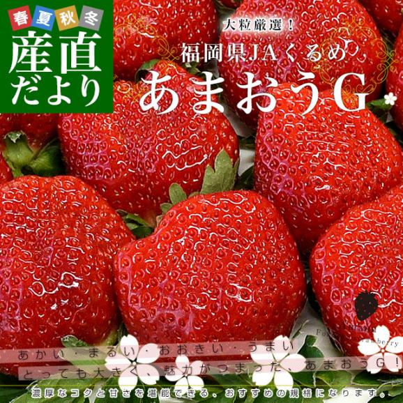 福岡県より産地直送 JAくるめ あまおうG 約540g(270g×2p入り)計12粒から18粒 送料無料 苺 いちご あまおう イチゴ ストロベリー from九州02