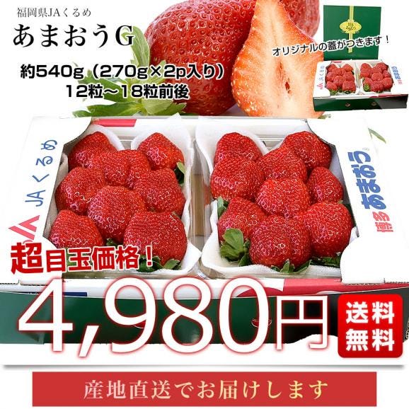 福岡県より産地直送 JAくるめ あまおうG 約540g(270g×2p入り)計12粒から18粒 送料無料 苺 いちご あまおう イチゴ ストロベリー from九州03