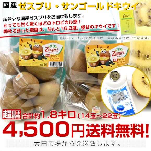 国産ゼスプリ・サンゴールドキウイ 合計約1.8キロ(合計14玉から22玉)送料無料 キウイフルーツ きうい03