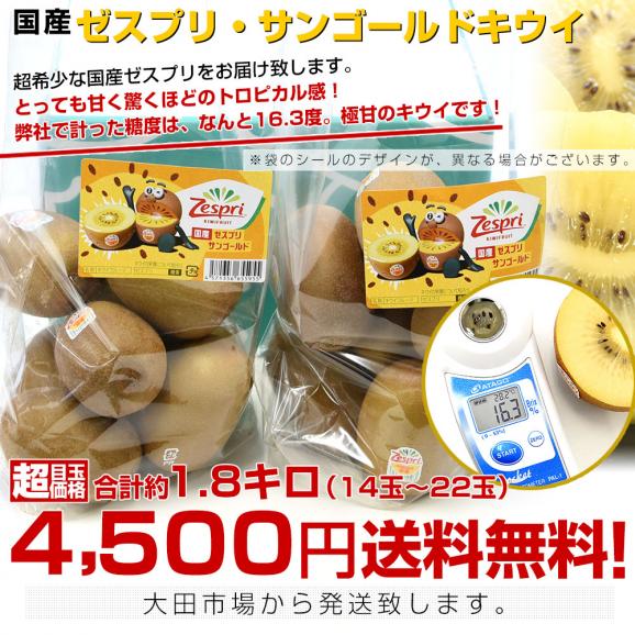 国産ゼスプリ・サンゴールドキウイ 合計約1.8キロ(合計14玉から22玉)送料無料 キウイフルーツ きうい03