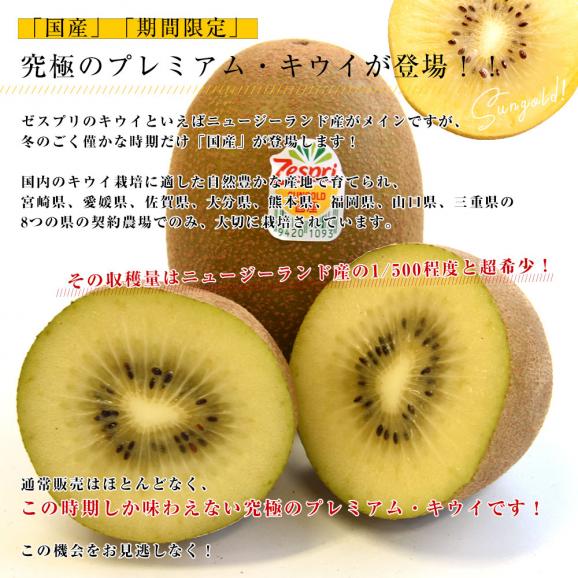 国産ゼスプリ・サンゴールドキウイ 合計約1.8キロ(合計14玉から22玉)送料無料 キウイフルーツ きうい04