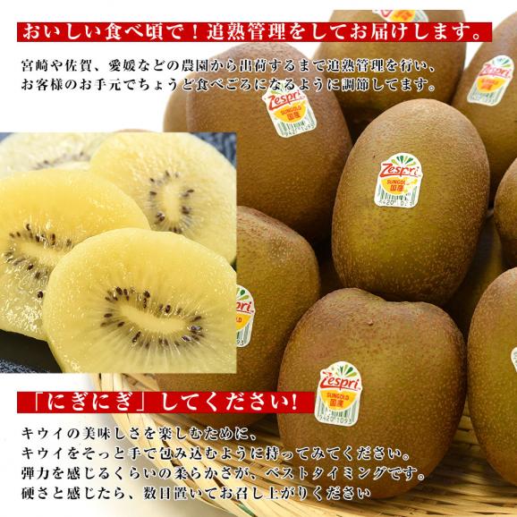 国産ゼスプリ・サンゴールドキウイ 合計約1.8キロ(合計14玉から22玉)送料無料 キウイフルーツ きうい06