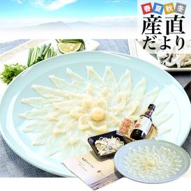 山口県下関市から直送 山賀 天然トラフグ刺身セット（刺身、皮刺し、ポン酢、もみじおろし）送料無料 河豚 ふぐ とらふぐ てっさ ※クール冷凍便