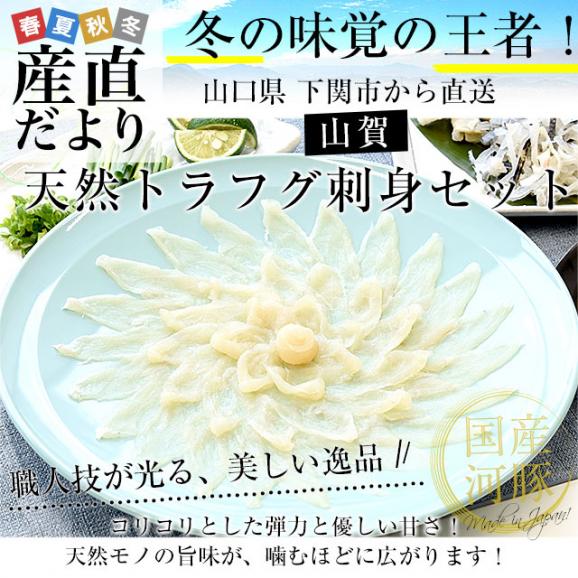 山口県下関市から直送 山賀 天然トラフグ刺身セット(刺身、皮刺し、ポン酢、もみじおろし)送料無料 河豚 ふぐ とらふぐ てっさ ※クール冷凍便02