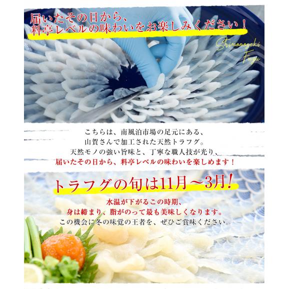 山口県下関市から直送 山賀 天然トラフグ刺身セット(刺身、皮刺し、ポン酢、もみじおろし)送料無料 河豚 ふぐ とらふぐ てっさ ※クール冷凍便05