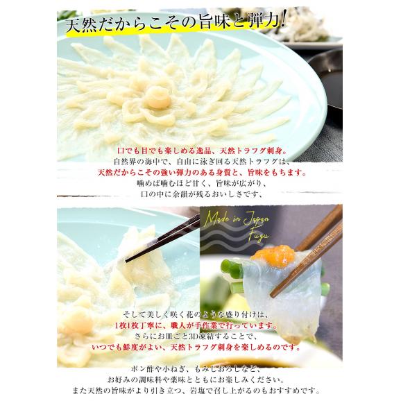 山口県下関市から直送 山賀 天然トラフグ刺身セット(刺身、皮刺し、ポン酢、もみじおろし)送料無料 河豚 ふぐ とらふぐ てっさ ※クール冷凍便06