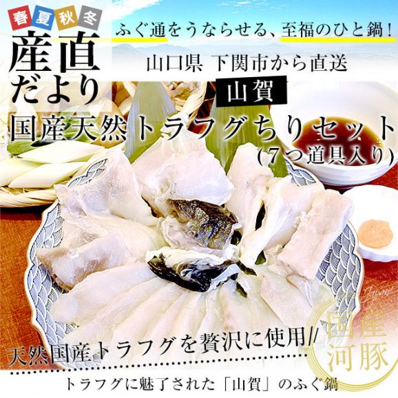 山口県下関市から産地直送 山賀 トラフグちり鍋セット(7つ道具入り) 国産天然トラフグちり(約400g) 送料無料 ふぐ ※クール冷凍便02