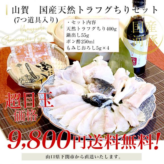 山口県下関市から産地直送 山賀 トラフグちり鍋セット(7つ道具入り) 国産天然トラフグちり(約400g) 送料無料 ふぐ ※クール冷凍便03
