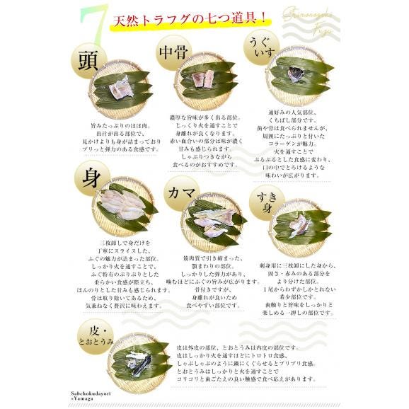 山口県下関市から産地直送 山賀 トラフグちり鍋セット(7つ道具入り) 国産天然トラフグちり(約400g) 送料無料 ふぐ ※クール冷凍便06