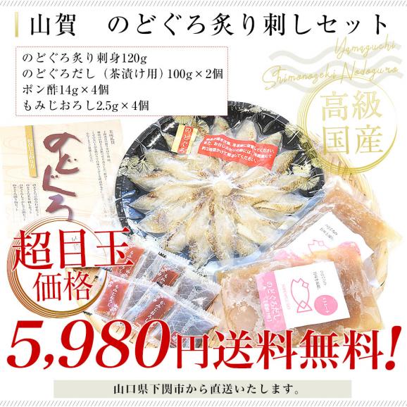 山口県下関市から直送 山賀 のどぐろ炙り刺しセット(のどぐろ炙り刺身、のどぐろだし、ポン酢、もみじおろし) 送料無料 ノドグロ アカムツ ※クール冷凍便03