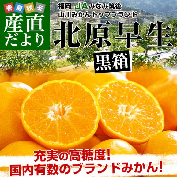 福岡県産 JAみなみ筑後 山川みかん トップブランド 北原早生  MからSサイズ 約4キロ(40玉から50玉前後)送料無料 黒箱 青秀以上 蜜柑 ミカン02