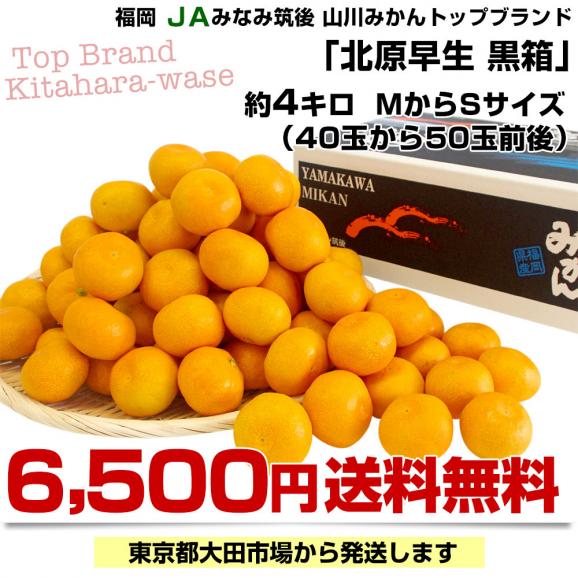 福岡県産 JAみなみ筑後 山川みかん トップブランド 北原早生  MからSサイズ 約4キロ(40玉から50玉前後)送料無料 黒箱 青秀以上 蜜柑 ミカン03