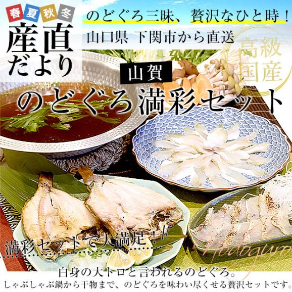 山口県下関市から産地直送 山賀 のどぐろ満彩セット (のどぐろ炙り刺身 のどぐろ切身 のどぐろ0℃熟成干し) 送料無料 ノドグロ アカムツ ※クール冷凍便02