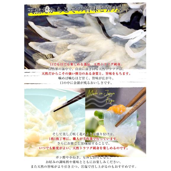 山口県下関市から直送 山賀 天然トラフグ刺身セット（刺身50g、皮刺し30g、ポン酢、もみじおろし）送料無料 河豚 ふぐ とらふぐ てっさ ※クール冷凍便06