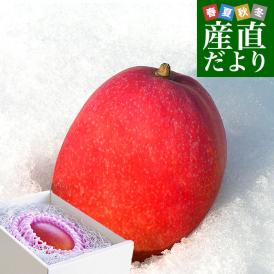 北海道産　完熟マンゴー「白銀の太陽PLEMIUM（プレミアム）」3Lサイズ1玉（450gから509g）まんごー 送料無料