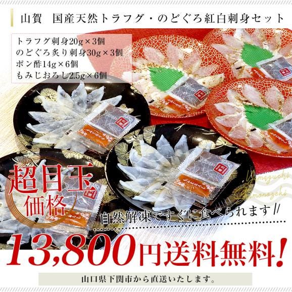 山口県下関市から直送 山賀 国産天然トラフグ・のどぐろ紅白刺身セット(トラフグ刺身、のどぐろ炙り刺身、ポン酢、もみじおろし) 送料無料 ふぐ ノドグロ ※クール冷凍便03