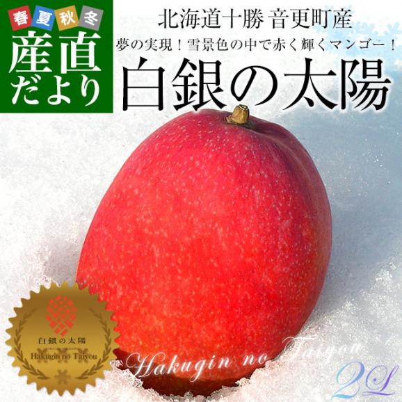 北海道産　完熟マンゴー「白銀の太陽」2Lサイズ1玉（350gから449g）まんごー 送料無料02