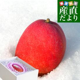 北海道産　完熟マンゴー「白銀の太陽PLEMIUM（プレミアム）」2Lサイズ1玉（350gから449g）まんごー 送料無料