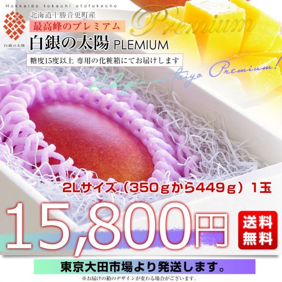 北海道産　完熟マンゴー「白銀の太陽PLEMIUM（プレミアム）」2Lサイズ1玉（350gから449g）まんごー 送料無料03