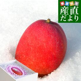 北海道産　完熟マンゴー「白銀の太陽PLEMIUM（プレミアム）」Lサイズ1玉（310gから349g）まんごー 送料無料