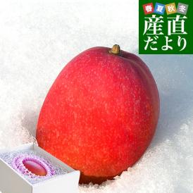 北海道産　完熟マンゴー「白銀の太陽PLEMIUM（プレミアム）」Lサイズ1玉（310gから349g）まんごー 送料無料
