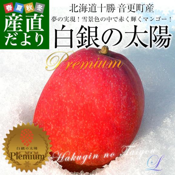 北海道産　完熟マンゴー「白銀の太陽PLEMIUM（プレミアム）」Lサイズ1玉（310gから349g）まんごー 送料無料02