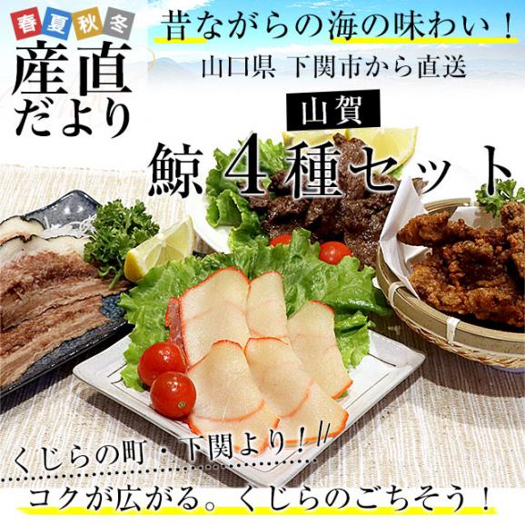 山口県下関市から産地直送 山賀 鯨4種セット(A) くじら 鯨ベーコン 鯨タン 鯨焼肉 鯨竜田揚げ 送料無料 ※クール冷凍便02