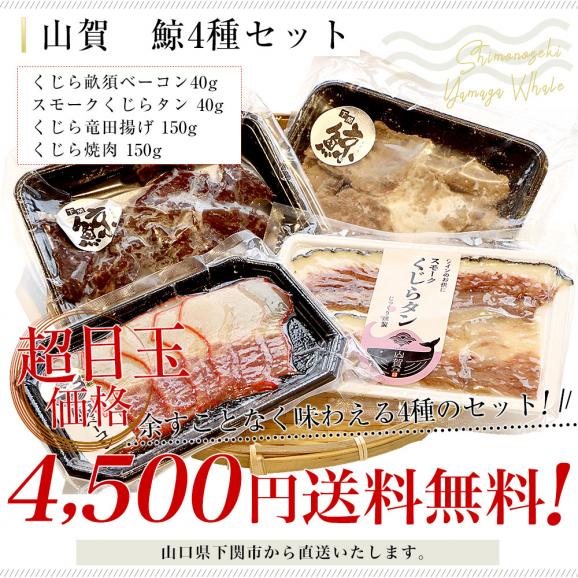 山口県下関市から産地直送 山賀 鯨4種セット(A) くじら 鯨ベーコン 鯨タン 鯨焼肉 鯨竜田揚げ 送料無料 ※クール冷凍便03