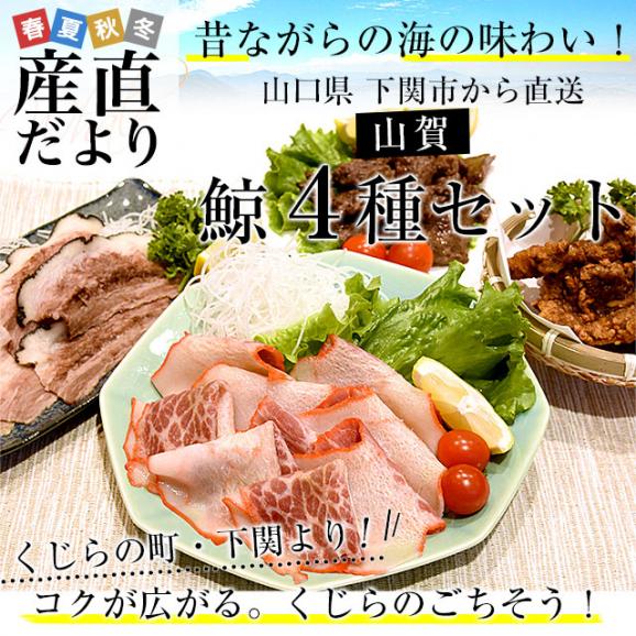 山口県より直送 山賀 鯨4種セット(B) くじら 鯨ベーコン 鯨タン 鯨焼肉 鯨竜田揚げ 送料無料 ※クール冷凍便02